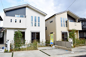 SV柏公園