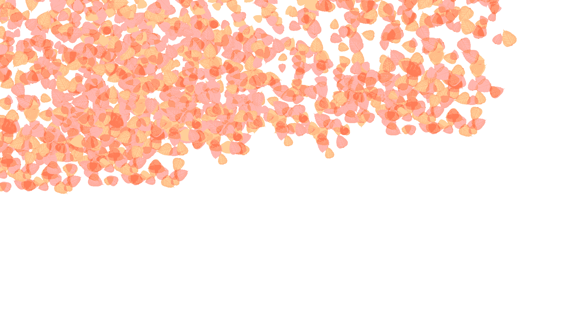 トップ画像