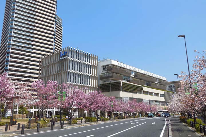 柏市の商業施設